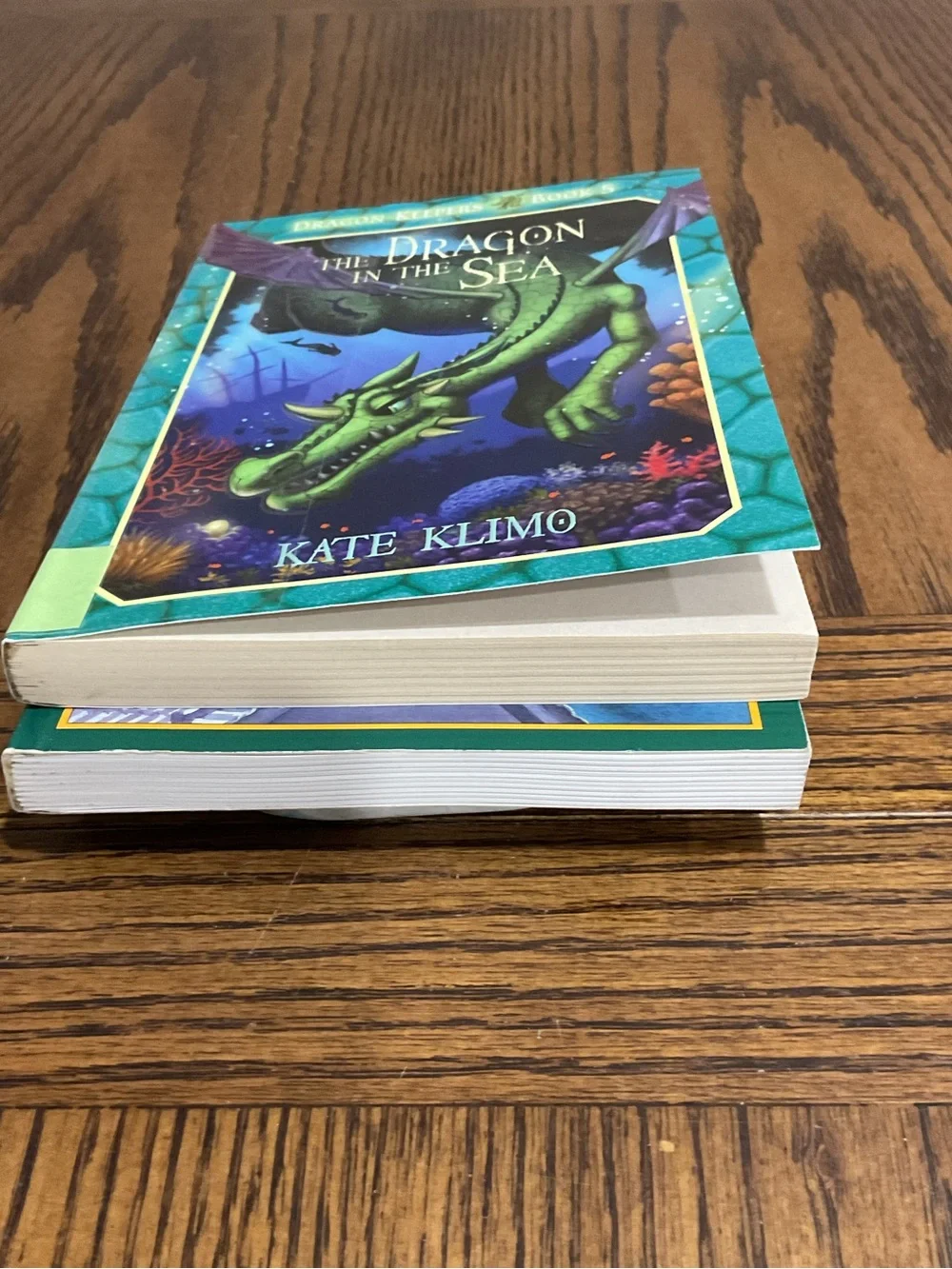 Dragon In the Sea & Dragon Stories Books 📚 Set